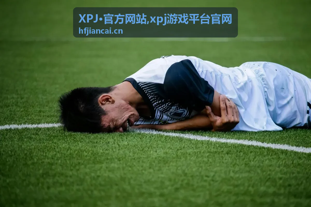 XPJ官方网站平台界面与服务入口展示